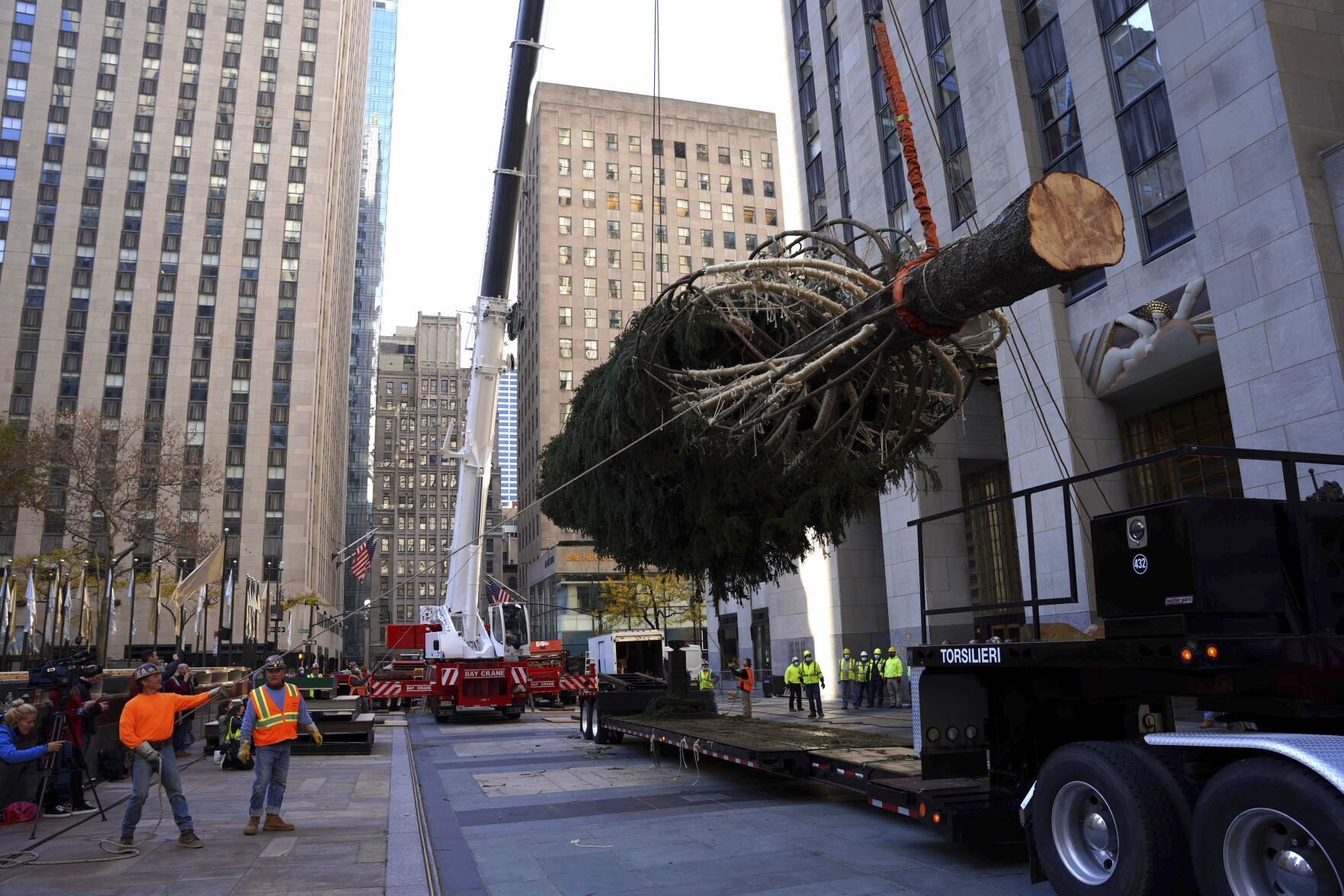 Rockefeller Center Tree